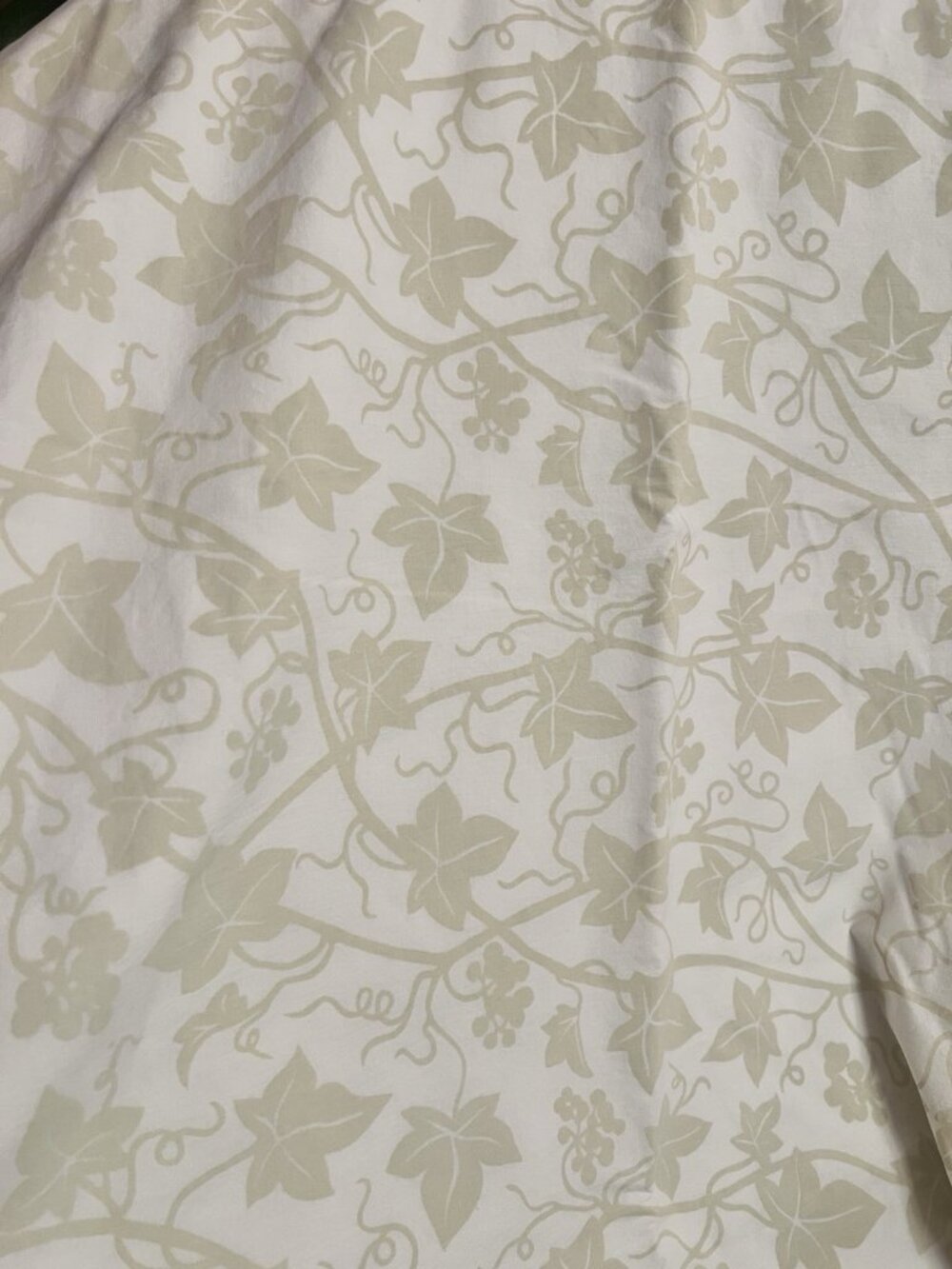 QUEEN Fitted SHEET 100% Cotton Martex Atelier No Iron Percale USA Green & Beige